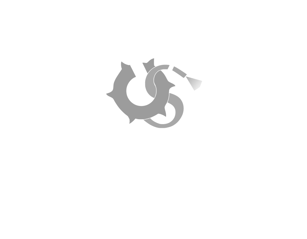 Varrese Stump Grinding in Blue Bell, PA logo