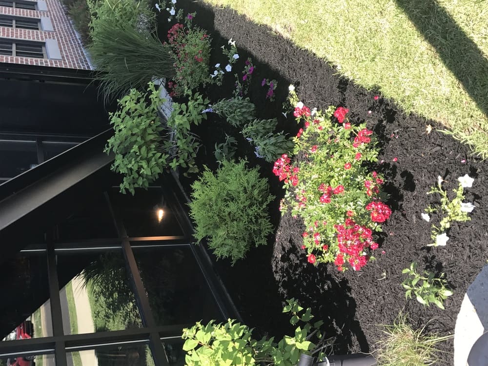 planting & design services