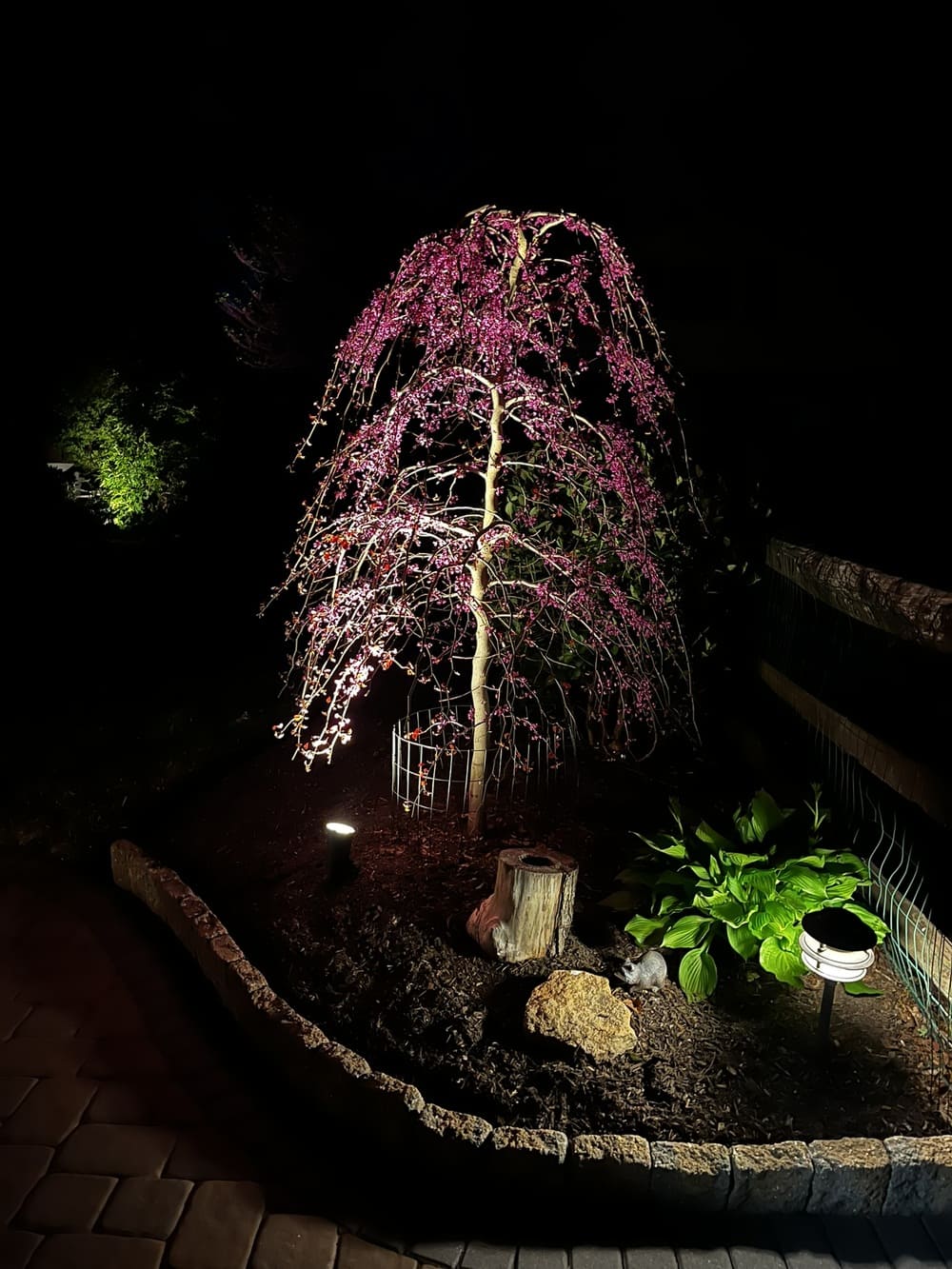 tree and shrub pruning services